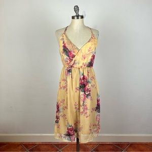 Anthropologie Meadow Rue Silk Rose Semi Sheer Mini Dress